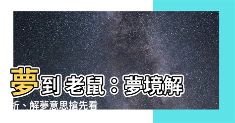 夢到抓到老鼠|夢到抓老鼠：臨床心理學家教你解讀夢境，提升自我覺察 